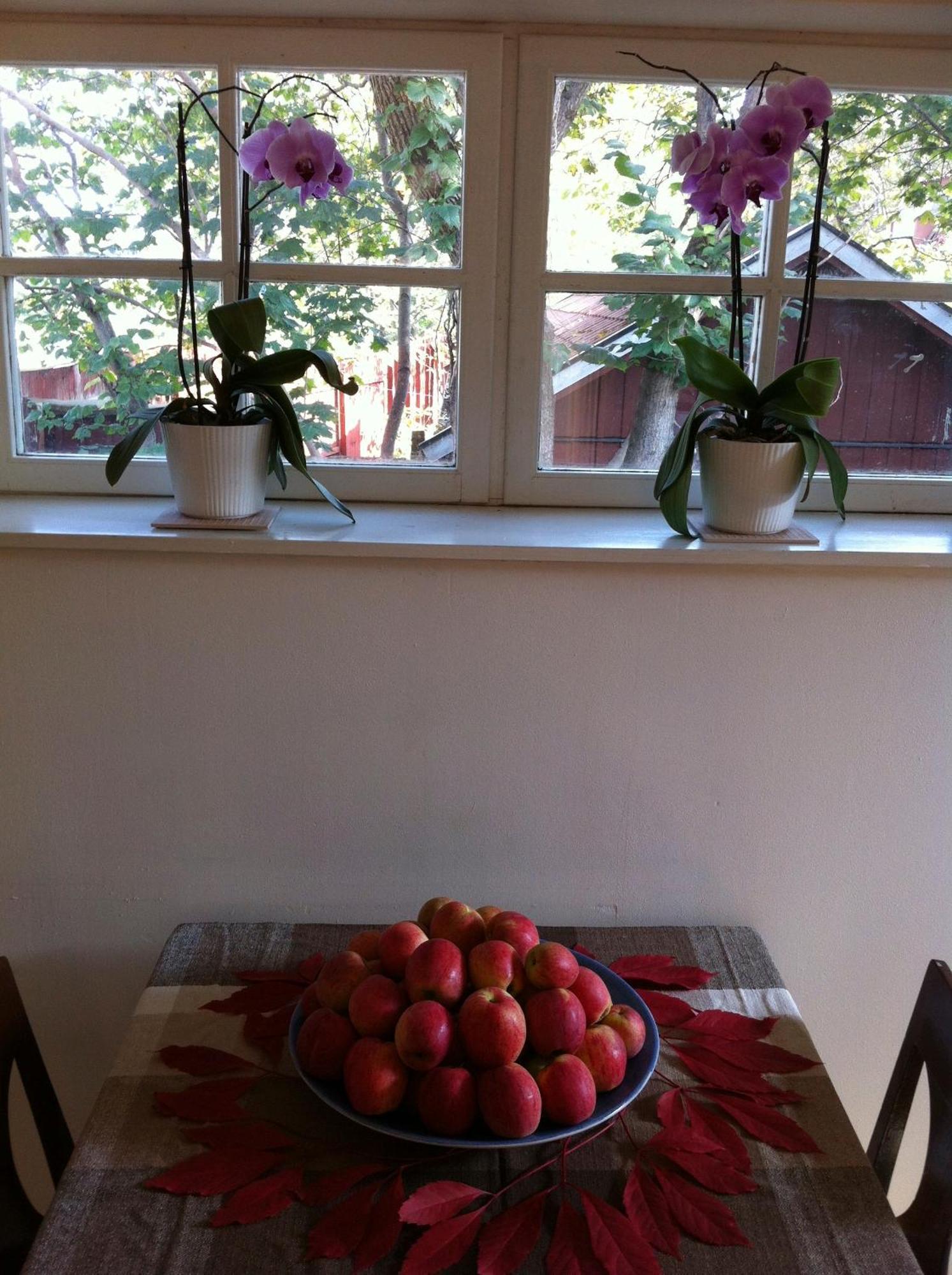 Stockholm B&B Cottage Nacka Ruang foto