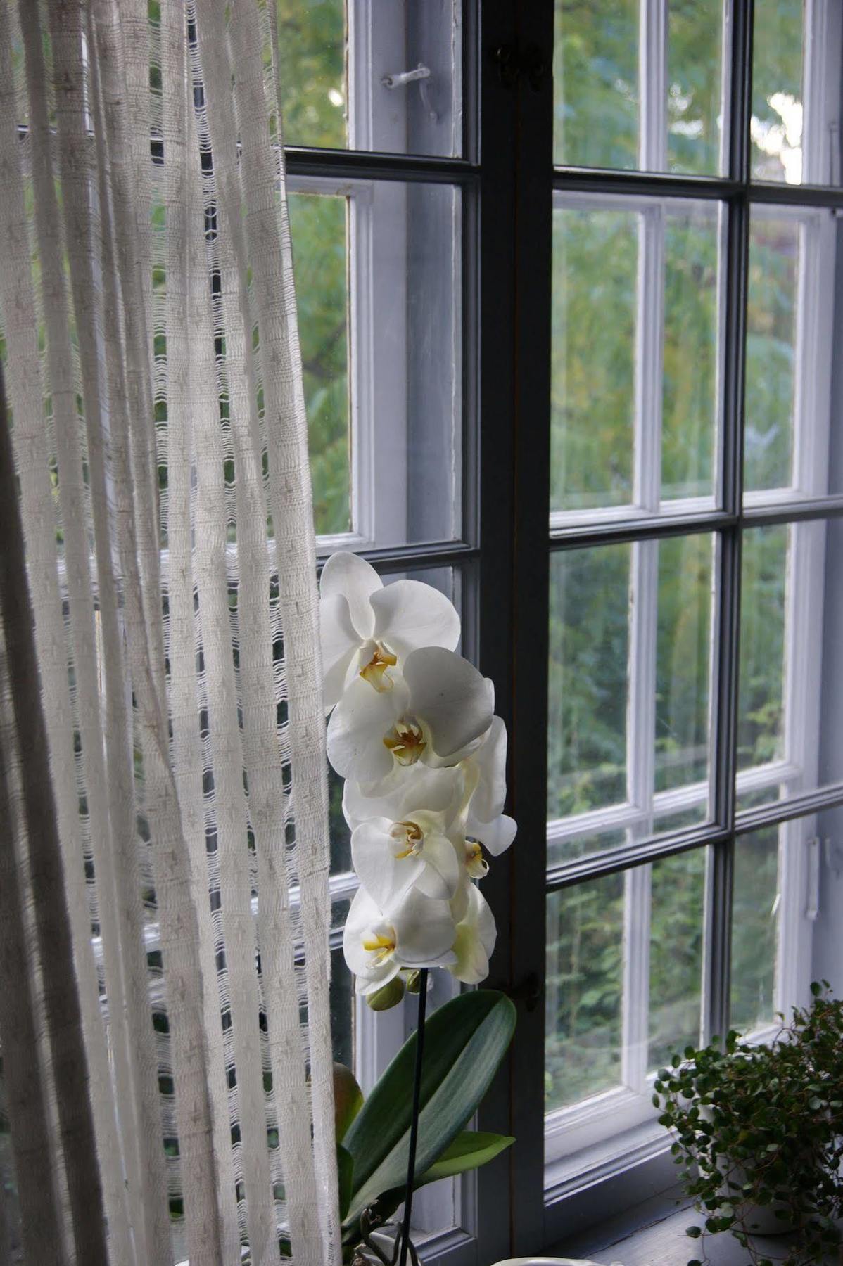 Stockholm B&B Cottage Nacka Bagian luar foto