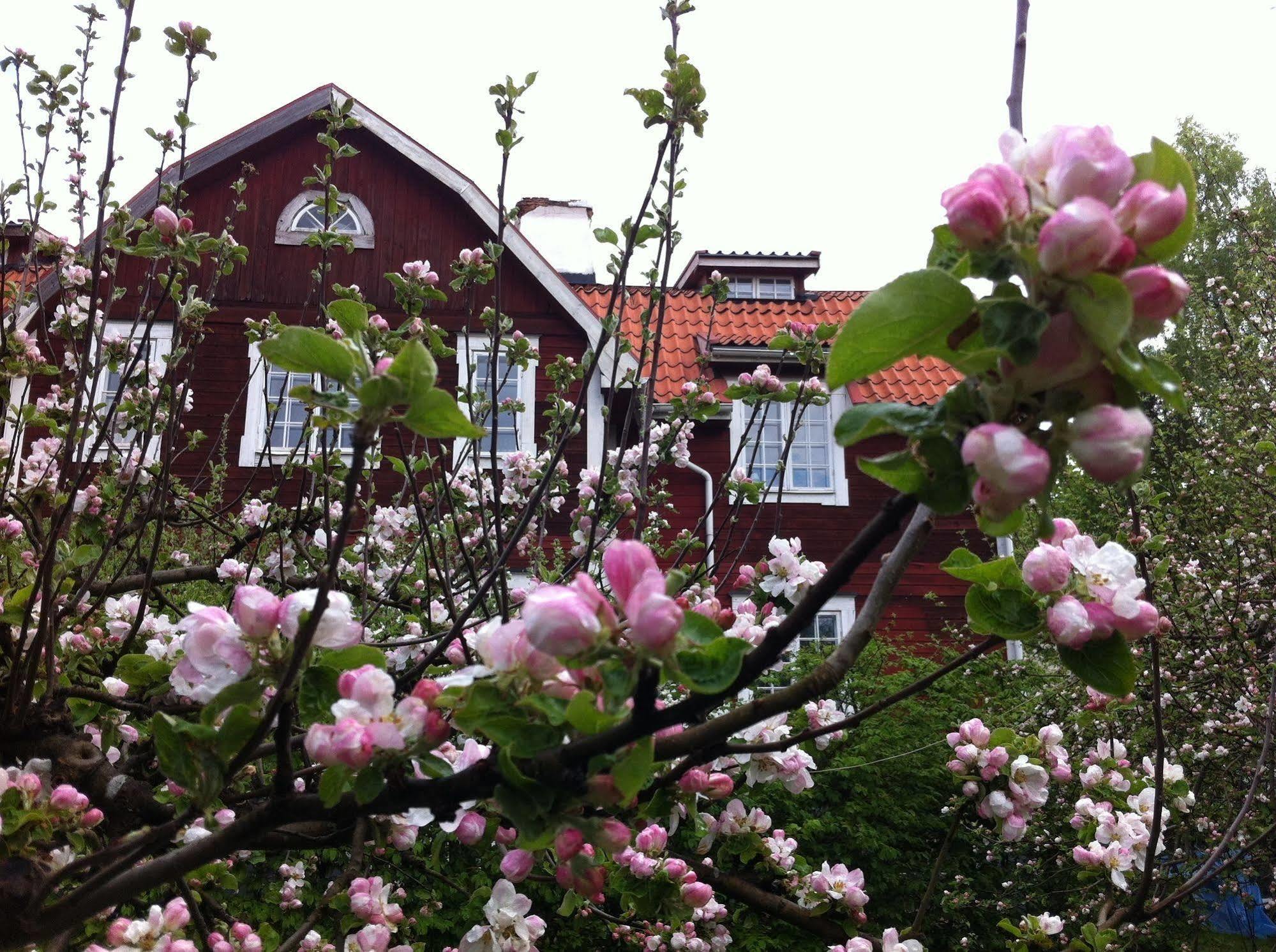 Stockholm B&B Cottage Nacka Bagian luar foto